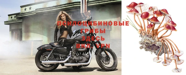 герыч Липки